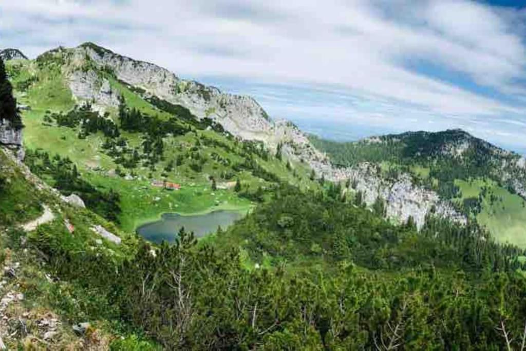 Topmodernes Studio - Sommer Im Bayerischen Inntal براننبرغ المظهر الخارجي الصورة