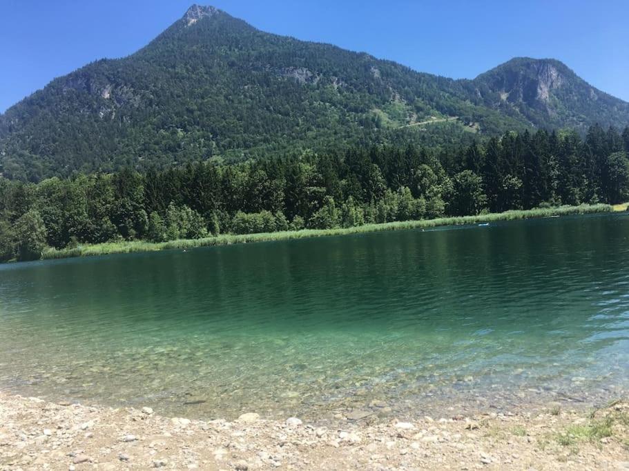 Topmodernes Studio - Sommer Im Bayerischen Inntal براننبرغ المظهر الخارجي الصورة